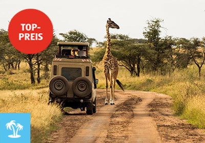Sansibar & Selous - Safari & Baden