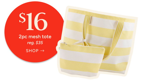 $16 2 pc Mesh Tote (reg. $35)