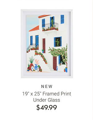 19" x 25" Framed Print Under Glass