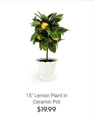15" Lemon Plant Ceramic Pot