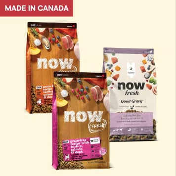 Now fresh dry dog and cat food