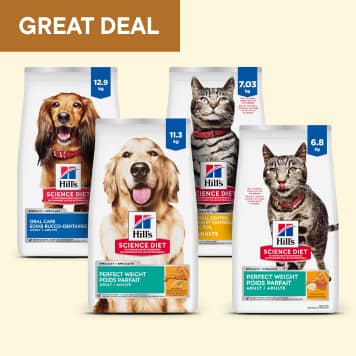 Hill's science diet dry dog and cat food
