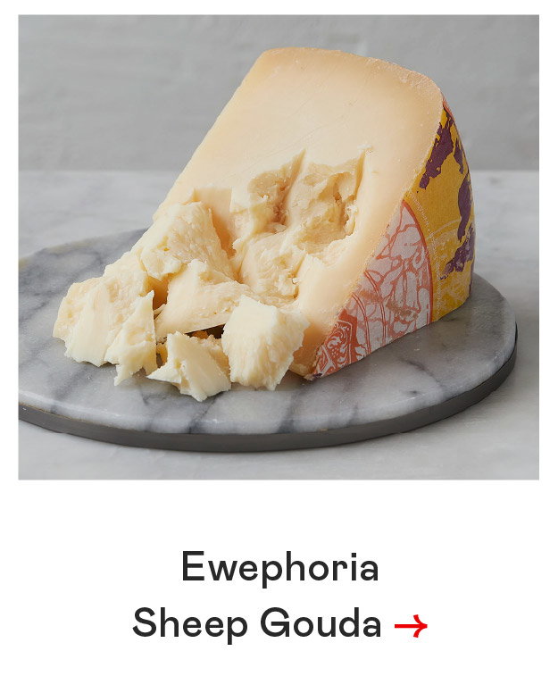 Ewephoria Sheep Gouda​