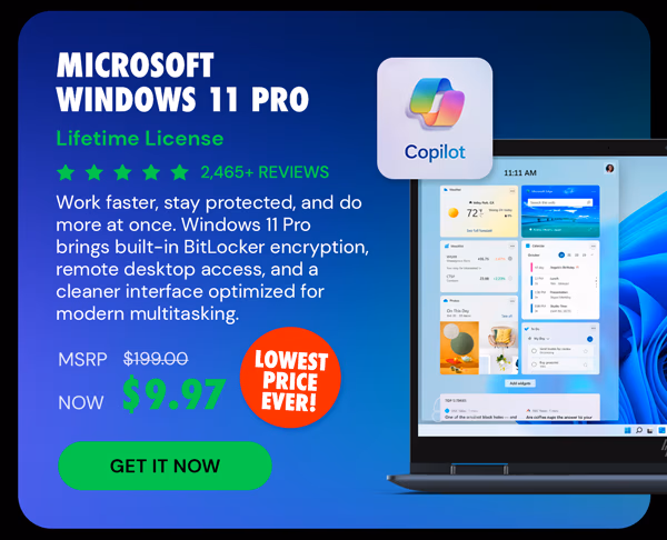 Microsoft Windows 11 Pro