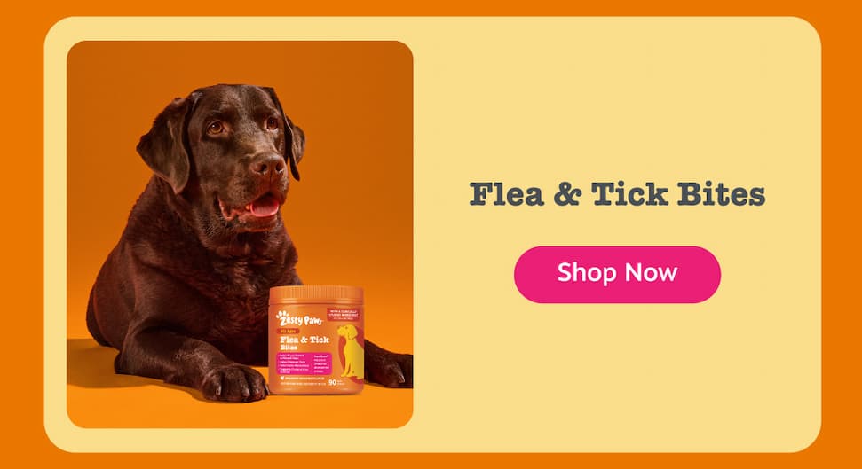 Flea & Tick Bites: Shop Now