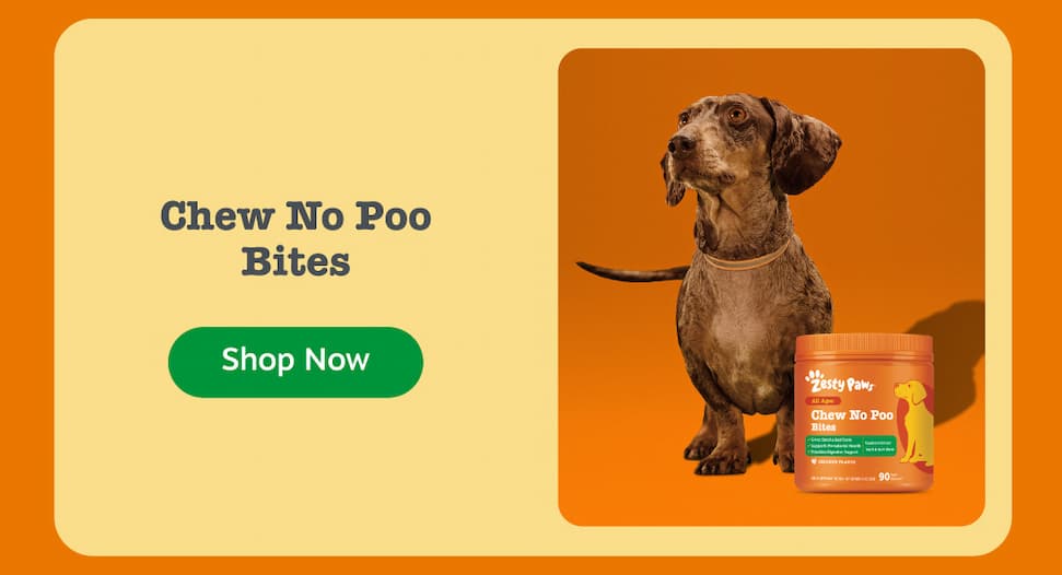 Chew No Poo Bites: Shop Now