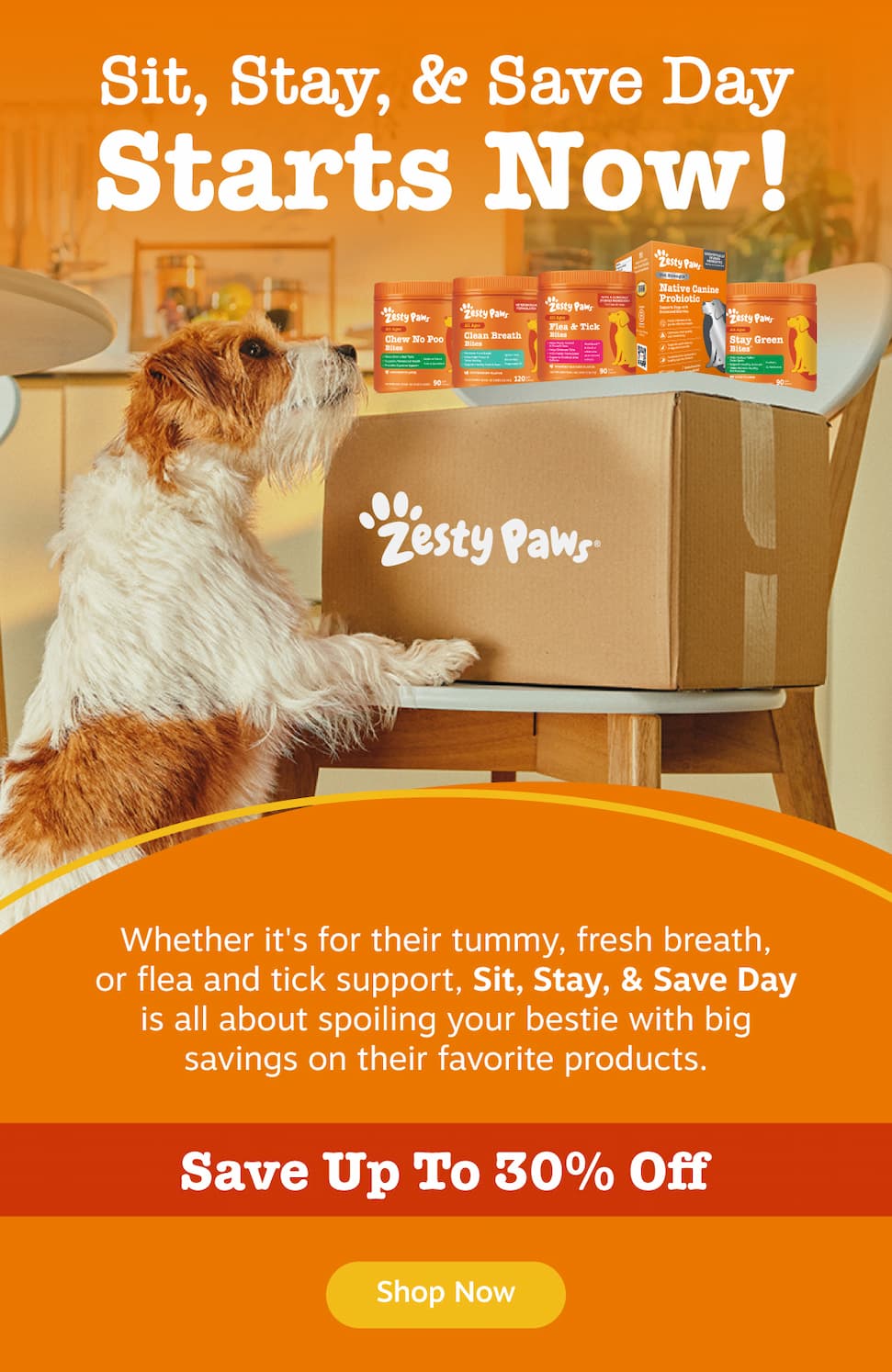 Sit, Stay, & Save Day Starts Now! Whether it's for their tummy, fresh breath, or flea and tick support, Sit, Stay, & Save Day is all about spoiling your bestie with big savings on their favorite products. Save up to 30% Off. Shop now!