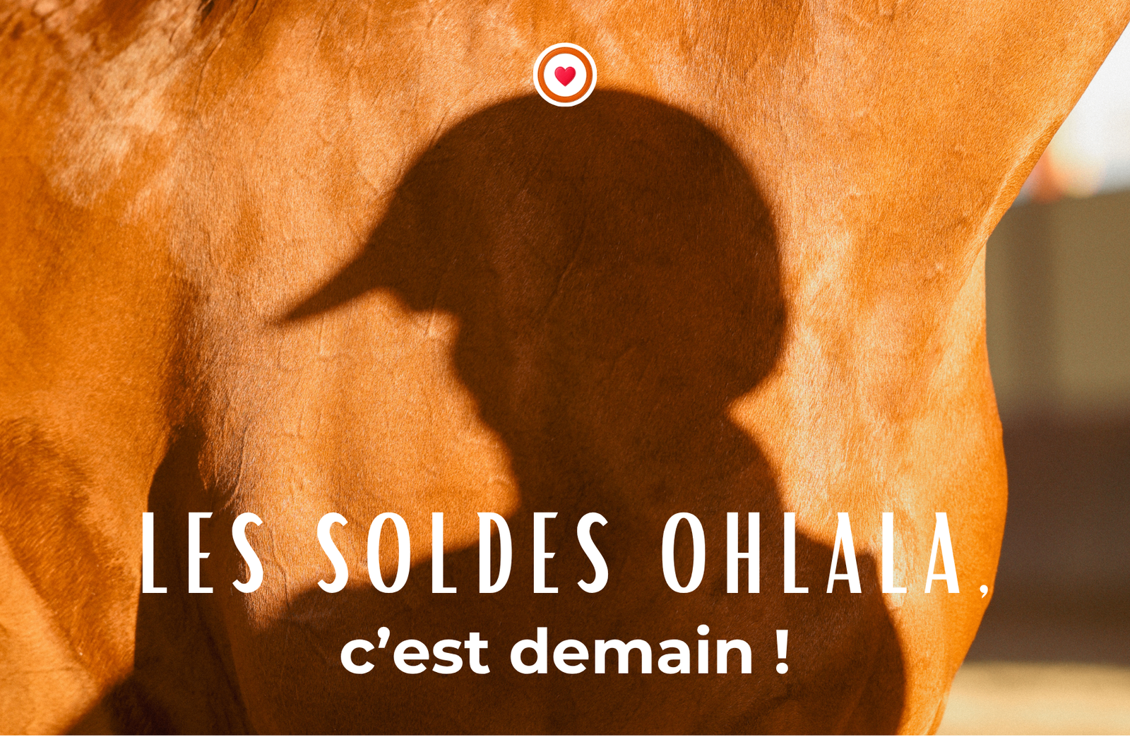 OHLALA Sellerie