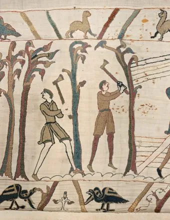 The British Museum Is Recreating the Bayeux Tapestry's Medieval Woodland