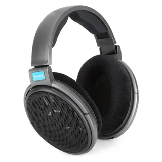 Sennheiser HD 600 Open-back Audiophile/Professional Headphones