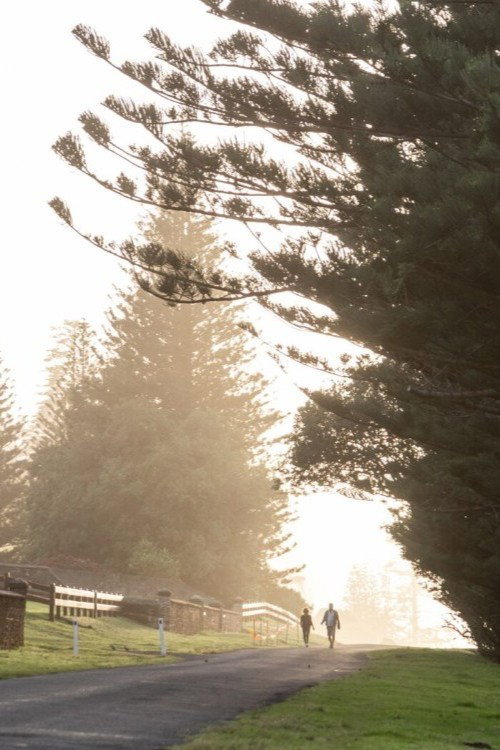 Norfolk Island walk