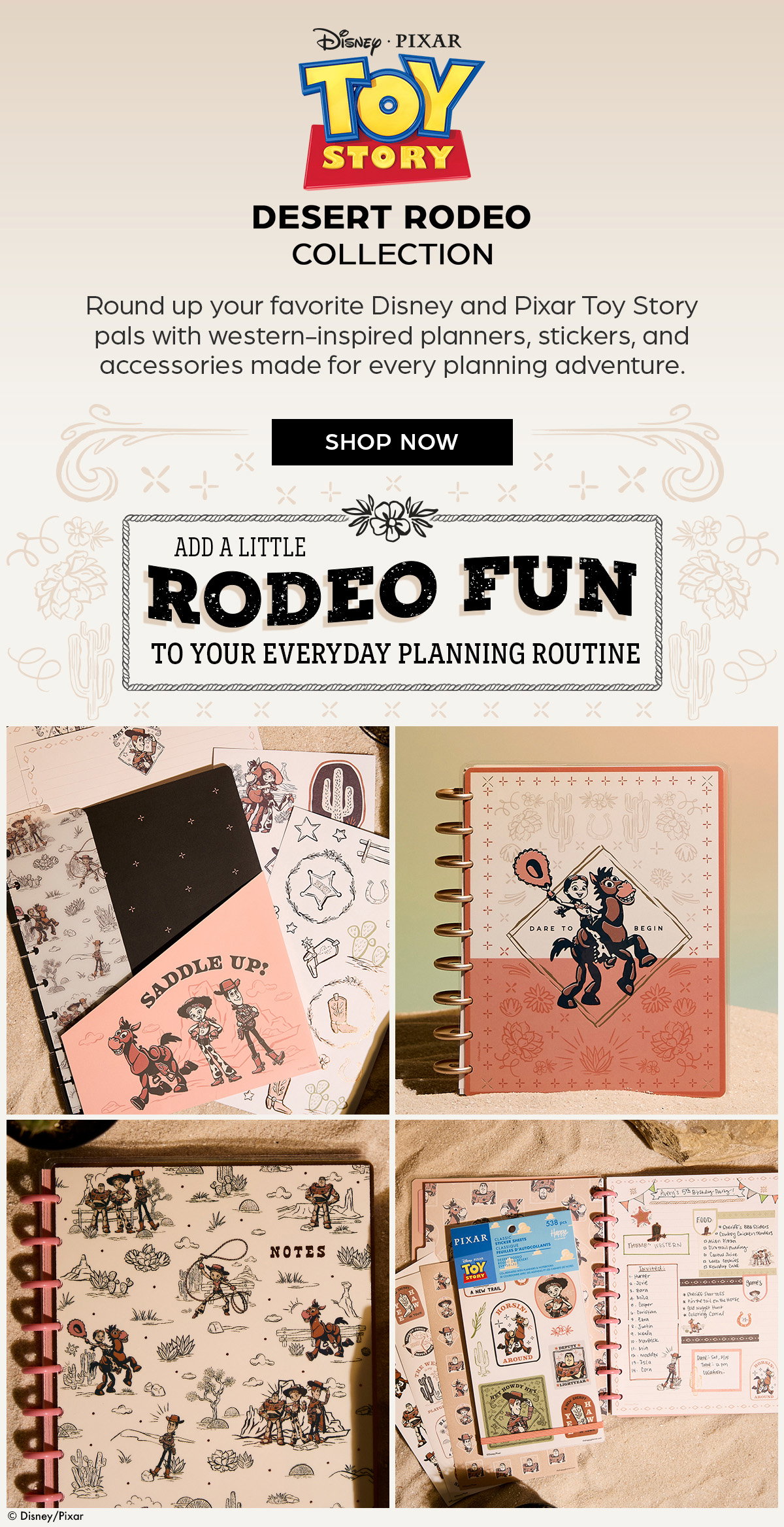 Disney and Pixar Toy Story Desert Rodeo Collection