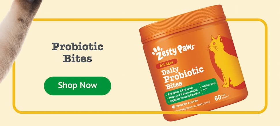 Probiotic Bites for Cats: Shop Now