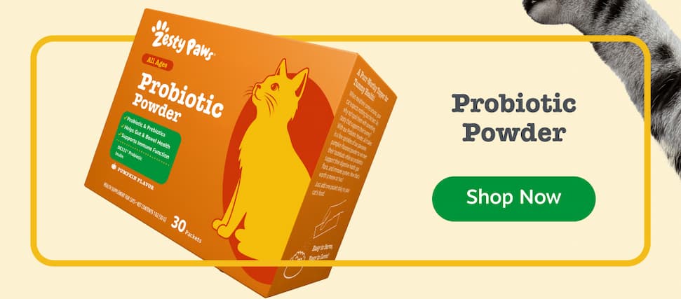 Probiotic Powder for Cats: Shop Now