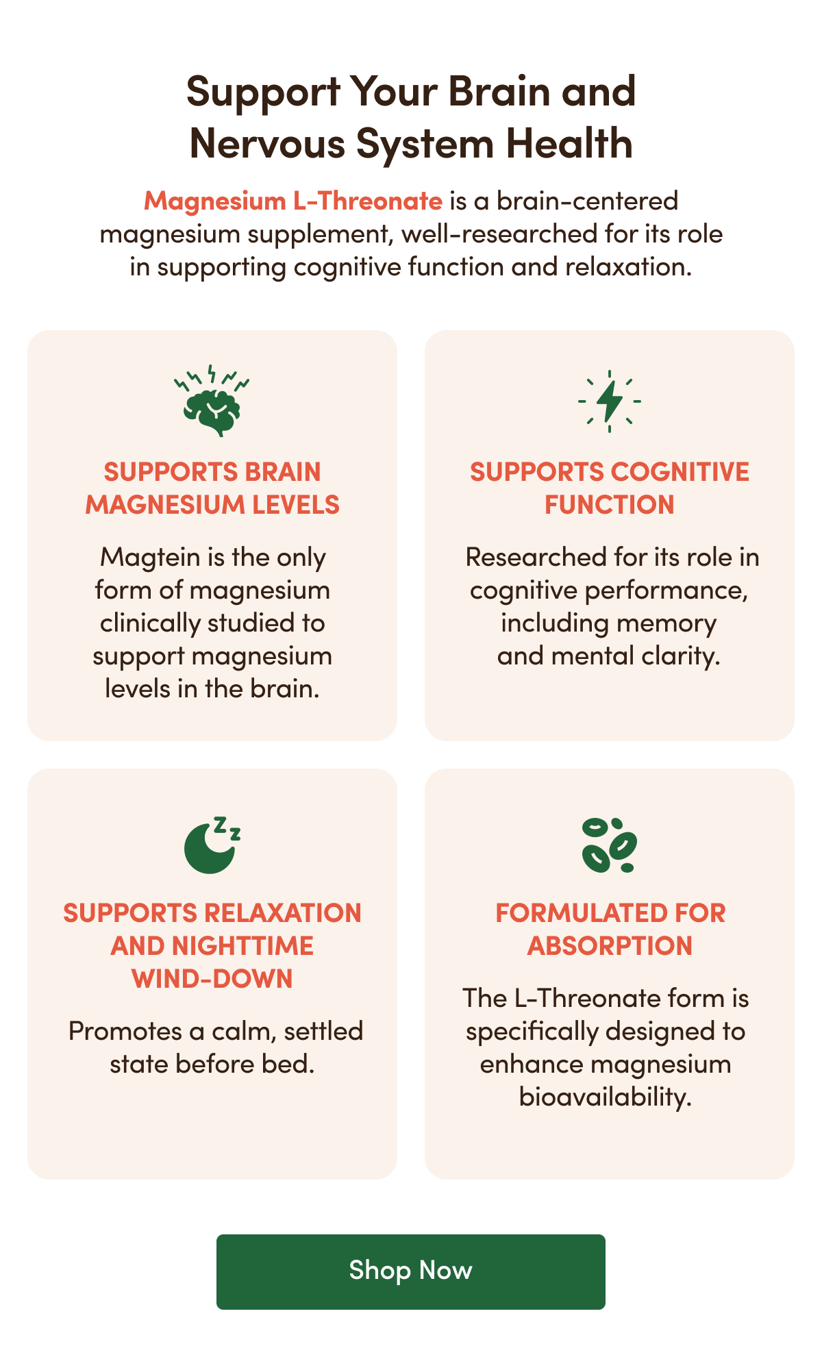 Support Your Brain and Nervous System Health