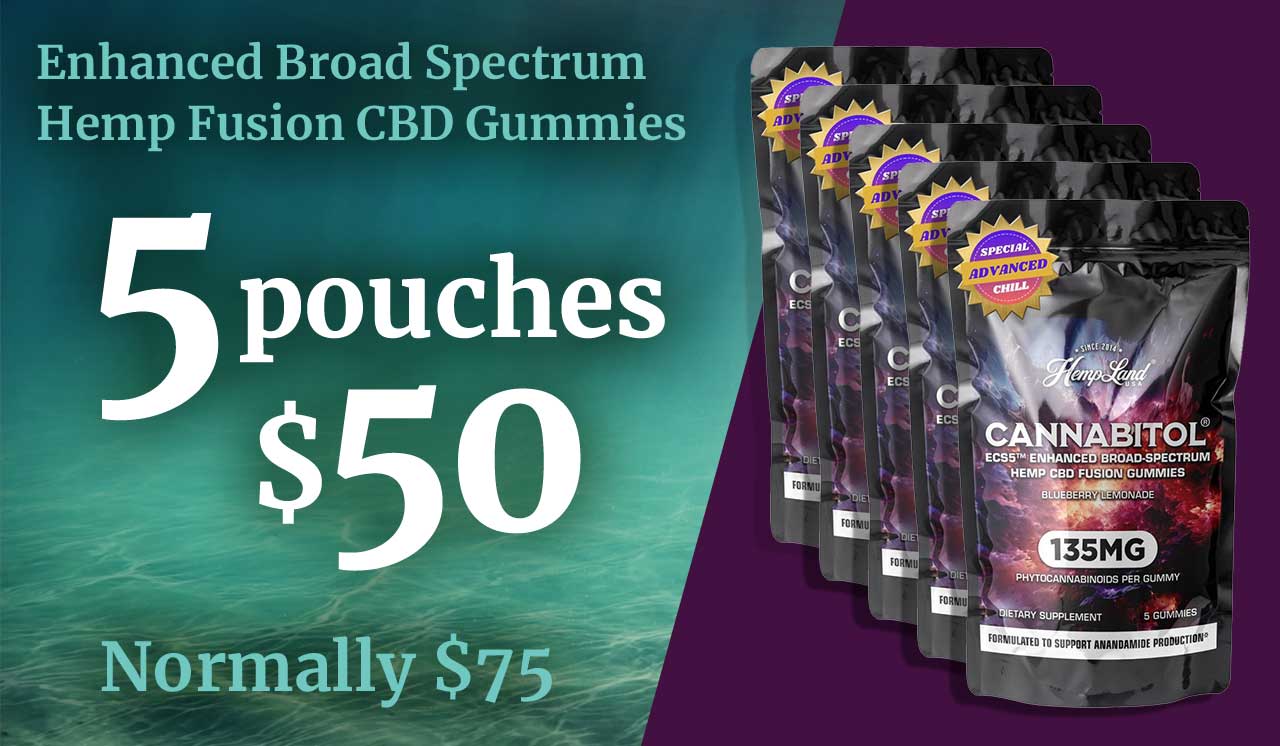 Save $25 — Real Bliss Support. No THC Gimmicks.