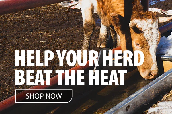 SHOP Livestock Waterers & Feeders