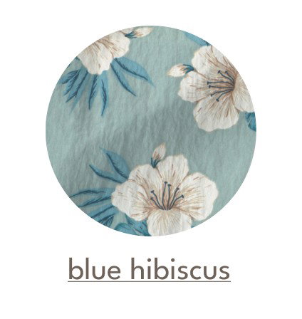 blue hibiscus