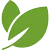 Eco Friendly