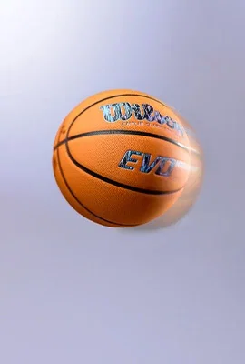 WILSON
