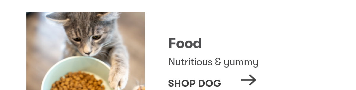 Shop Dog Food