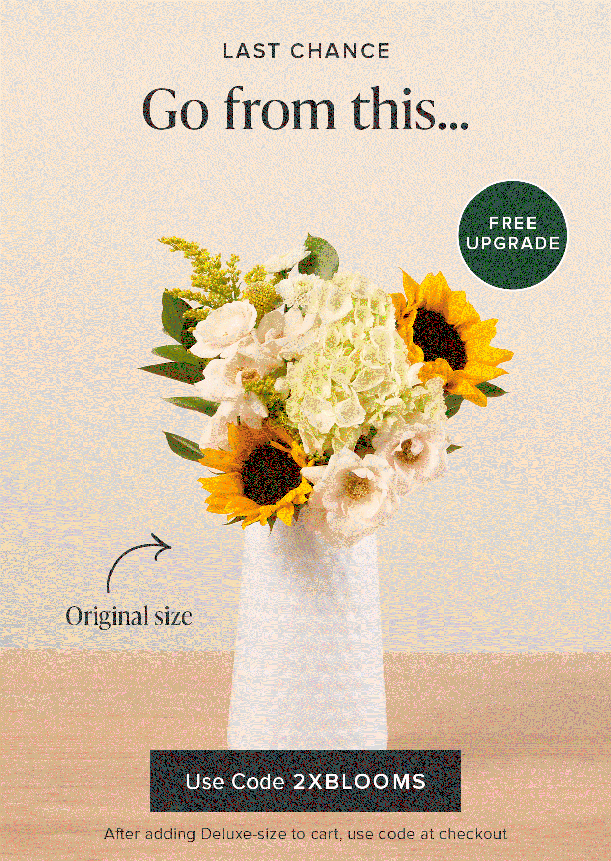 Last Chance for The Double Blooms Sale: Free Upgrade. Go from an Original Size bouq to a Deluxe for FREE. Use code 2XBLOOMS at checkout after adding a Deluxe-size to your cart. 