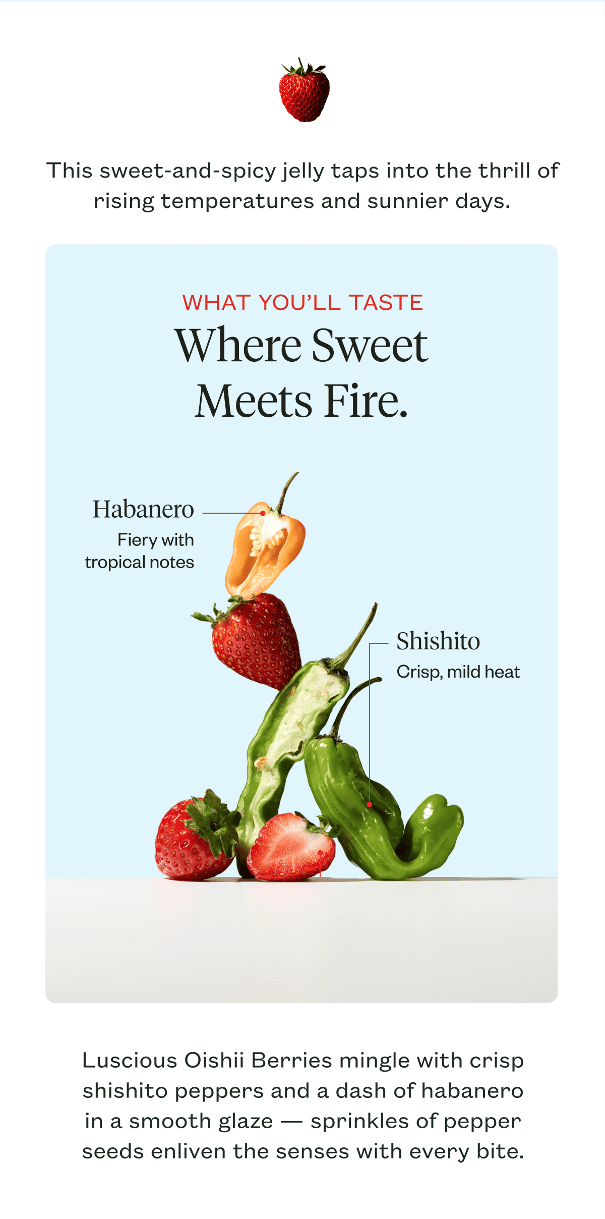Where Sweet Meets Fire