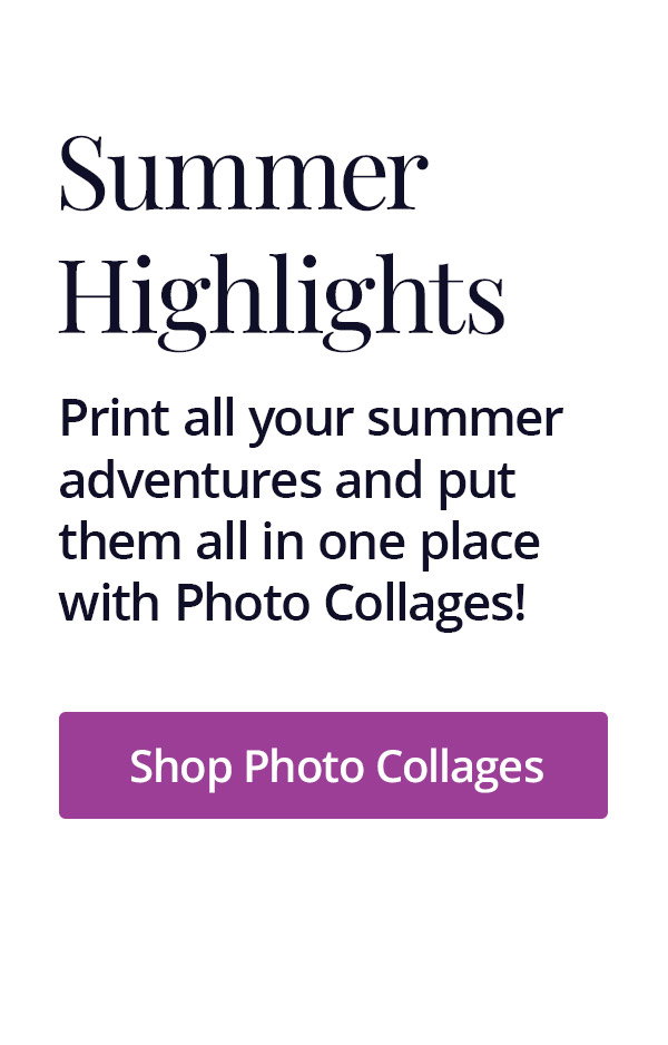 Summer Highlights