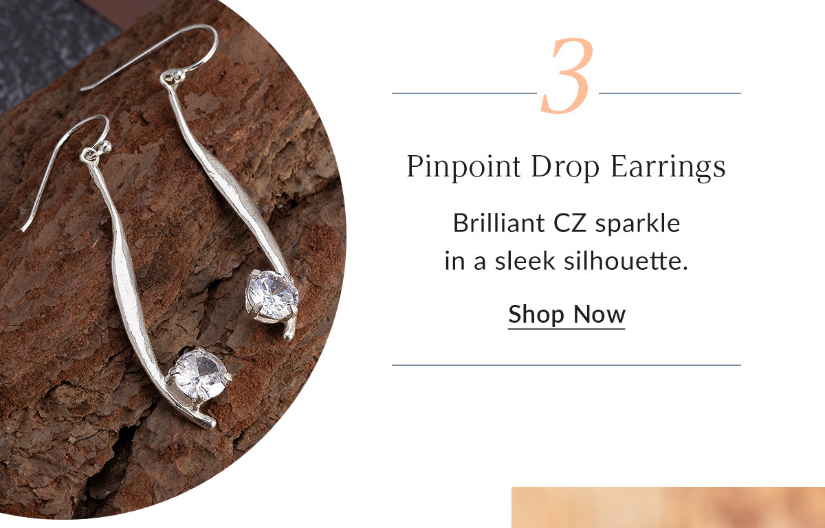 Pinpoint Drop Earrings