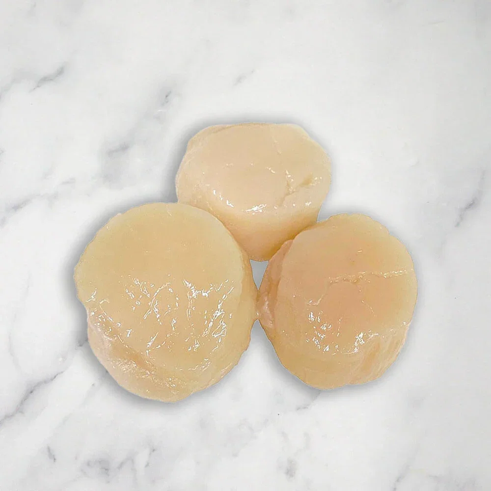 Image of Large Hokkaido Japanese Scallops, Sashimi Grade, Frozen, +/-300g