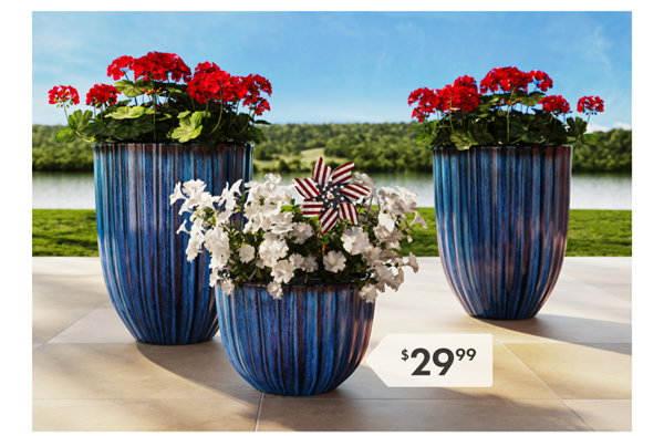 Pot & Planters lifestyle image