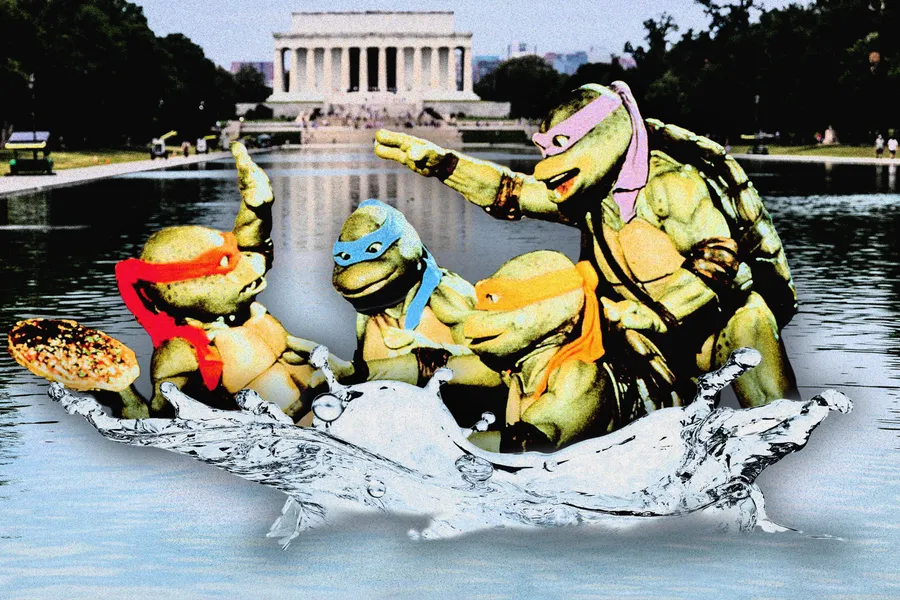 Only the Ninja Turtles Can Save Trump’s Reflecting Pool