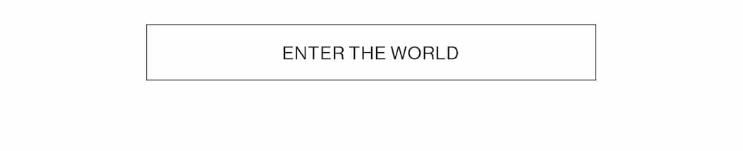 ENTER THE WORLD