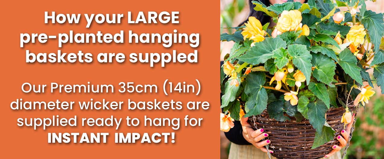 How your baskets are supplied