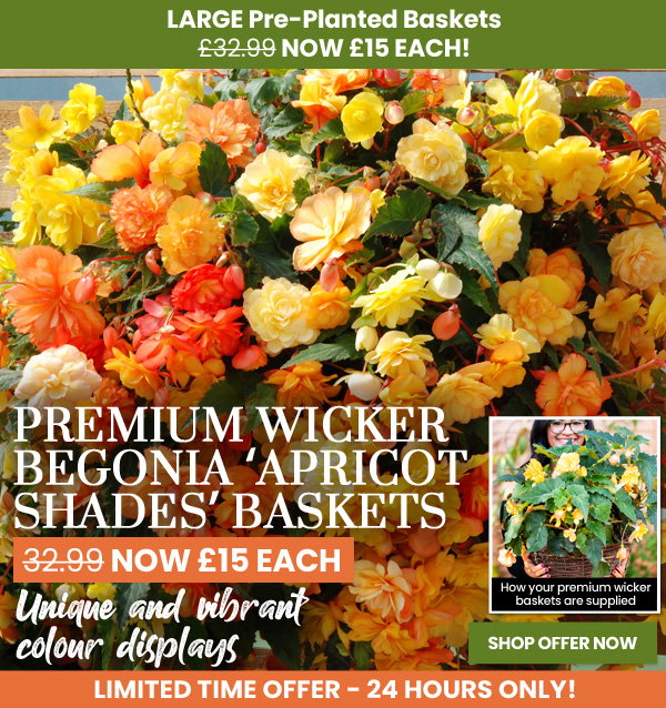 Mix & Match Baskets