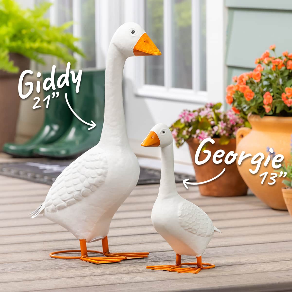EG26-624_Email2_Giddy-Georgie
