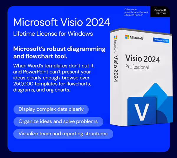 Microsoft Visio 2024 Professional (PC)