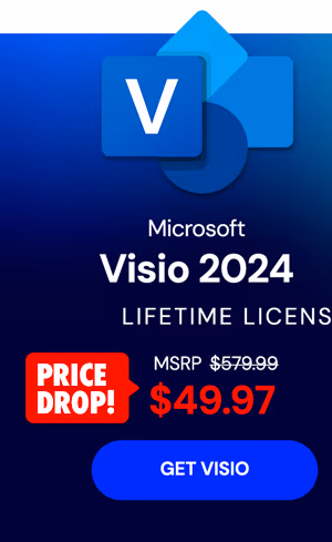 Microsoft Visio 2024 Professional (PC)