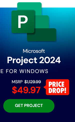 Microsoft Project 2024 Professional: Lifetime License for Windows