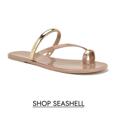 SHOP SEASHELL 
