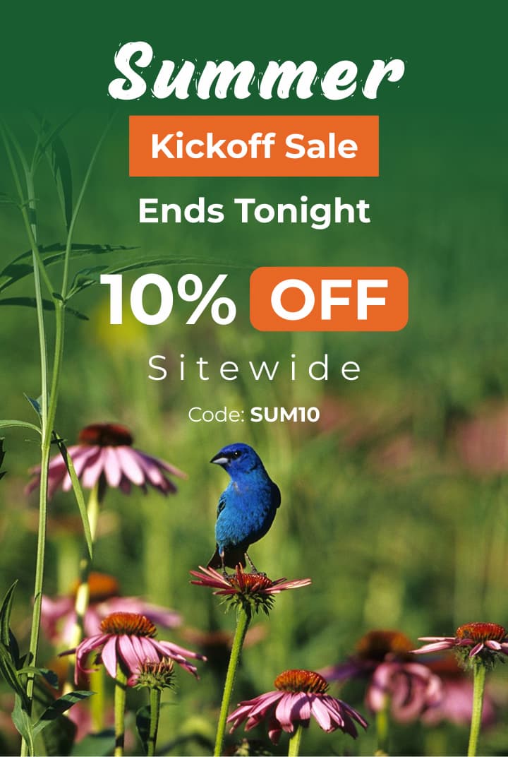 Summer Kickoff Sale