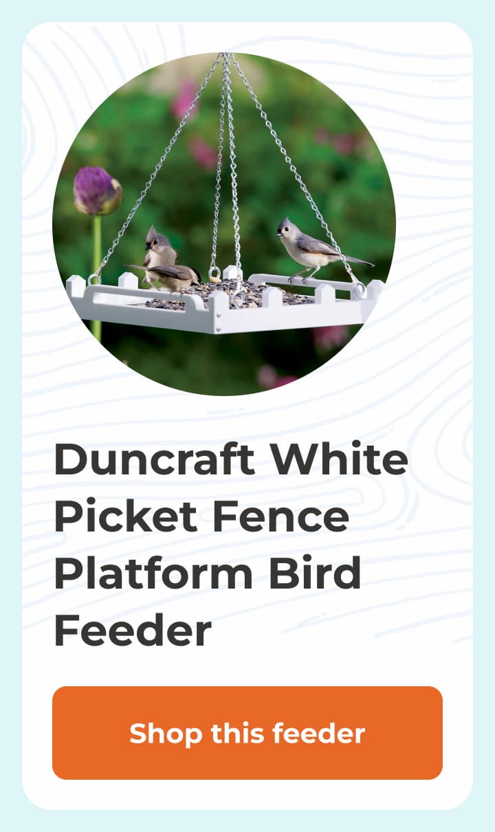 Duncraft White Picket Fence Platform Bird Feeder