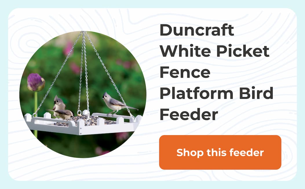 Duncraft White Picket Fence Platform Bird Feeder