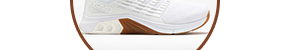 F-Lite Max