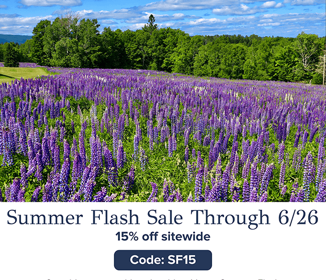 Hot Deals for Summer Days : Save 15%