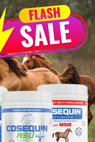 Cosequin sale