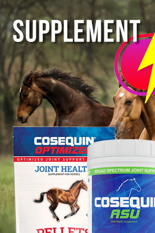 Cosequin sale