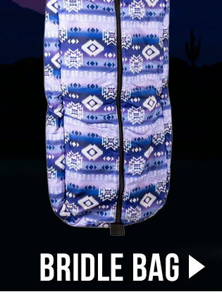Aztec print bridle bag sale