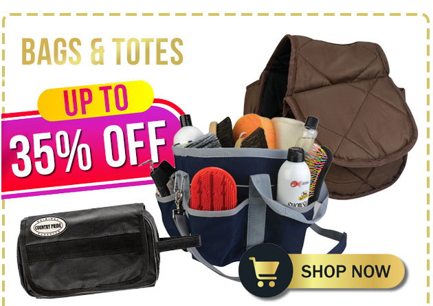 Bag and tote deals