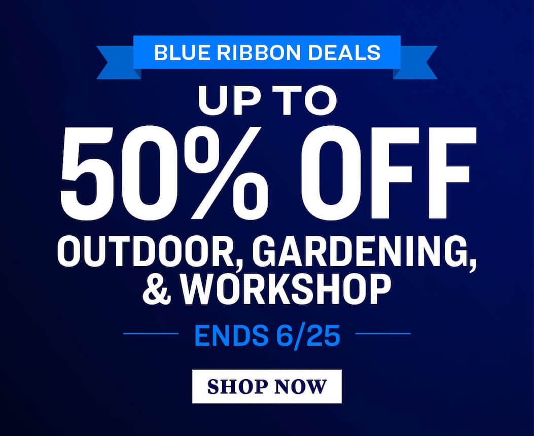 blue ribbon deals